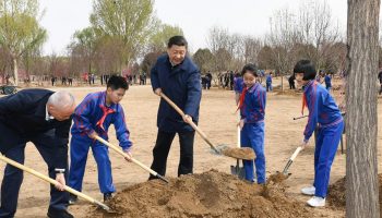 Xi stresses wide participation in promoting afforestation